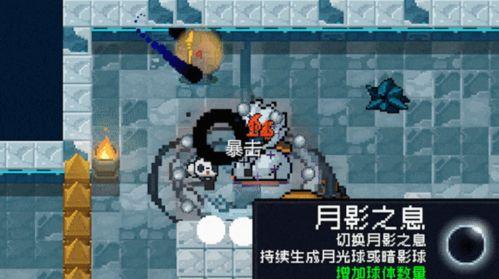 元气骑士最新版更新爆料,神秘新角色、酷炫武器与全新挑战来袭!
