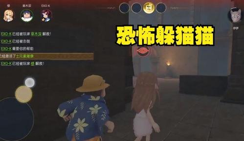 恐怖躲猫猫3 最新爆料,惊悚揭秘,神秘真相浮出水面